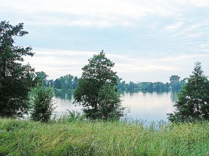 Заозерье богородский район фото